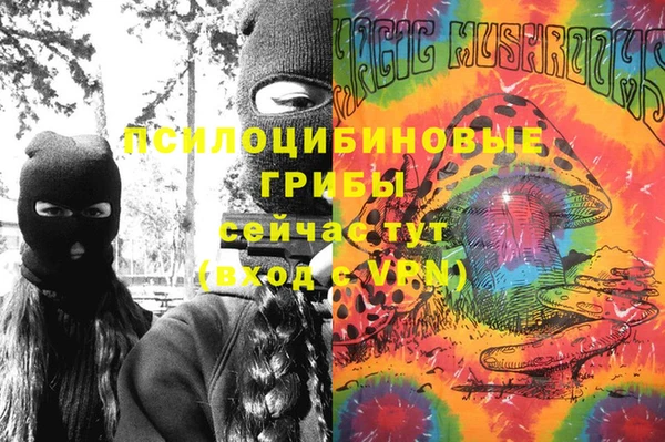 PSILOCYBIN Билибино