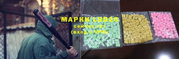 индика Майский