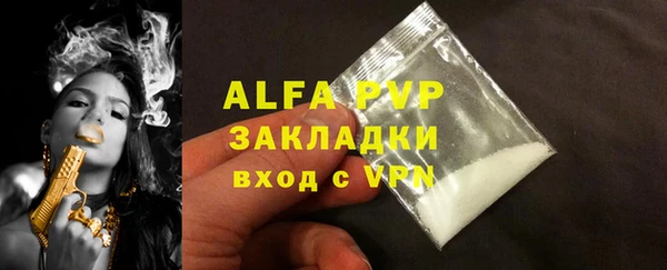 индика Майский