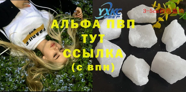 индика Майский