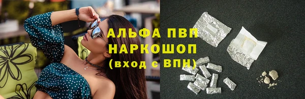 индика Майский