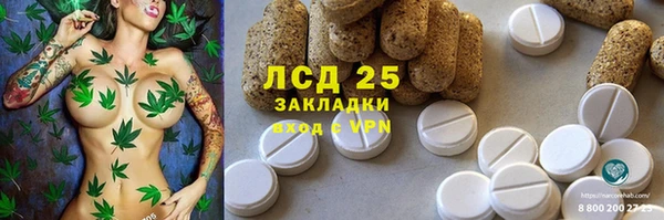 ПСИЛОЦИБИНОВЫЕ ГРИБЫ Магадан