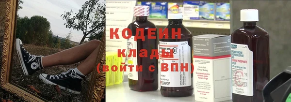 индика Майский