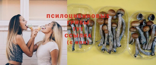 ПСИЛОЦИБИНОВЫЕ ГРИБЫ Магадан