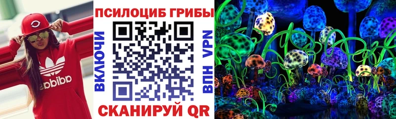 Галлюциногенные грибы Psilocybe  Нюрба 